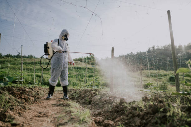 Best Commercial Pest Control Services  in Fontana, CA