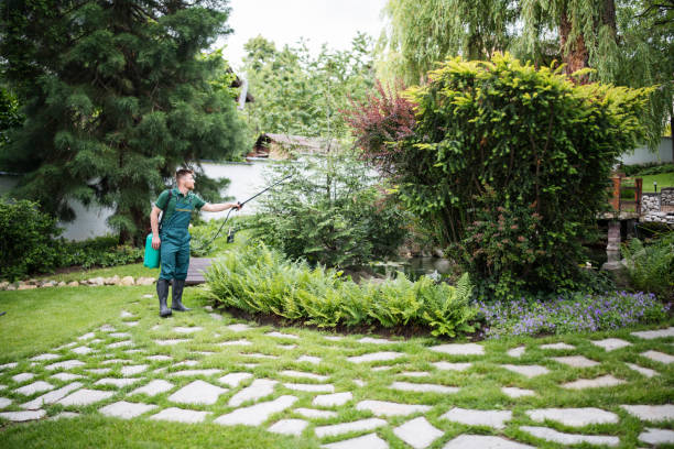 Best Ant Control Services  in Fontana, CA