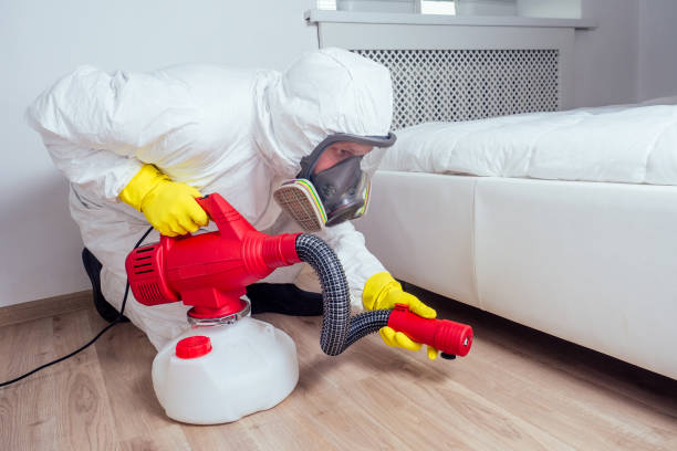 Best Local Pest Control Services  in Fontana, CA