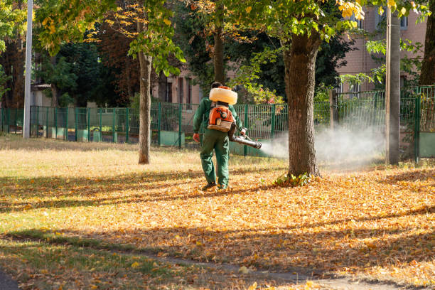 Best Affordable Pest Control Services  in Fontana, CA