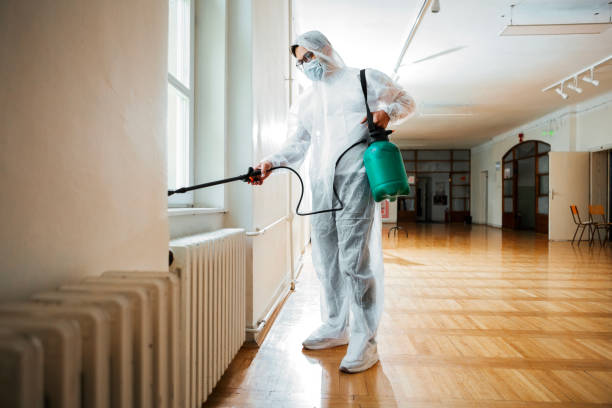 Best Affordable Pest Control Services  in Fontana, CA