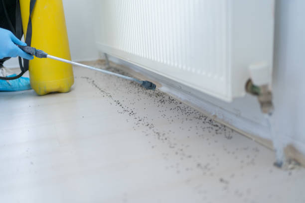 Wildlife Control Services in Fontana, CA
