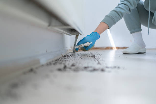 Best Bed Bug Extermination  in Fontana, CA